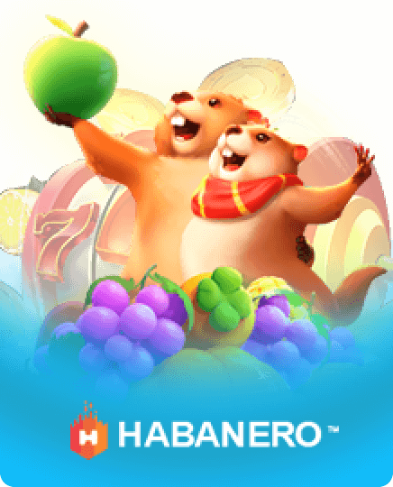 slots rio apk